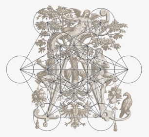 Mossy Rock Png, Transparent Png, Free Download