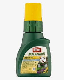 Bug Spray Png, Transparent Png, Free Download