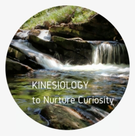 Kinesiology To Nurture Curiosity - Stream, HD Png Download, Free Download