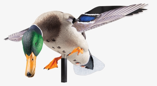 Powerflightmallard Decoy Min - Mallard, HD Png Download, Free Download