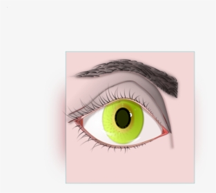 Iris,close Up,eye - Clip Art, HD Png Download, Free Download