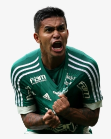 Dudu Palmeiras Png , Png Download - Png Image Dudu Palmeiras Png, Transparent Png, Free Download