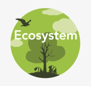 Ecosystem - Tree, HD Png Download, Free Download