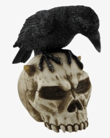 Crow On Devil Skull - Crow Devil, HD Png Download, Free Download