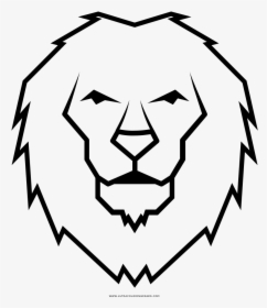 Lion Coloring Page - Desenhos De Leão Para Desenhar, HD Png Download, Free Download