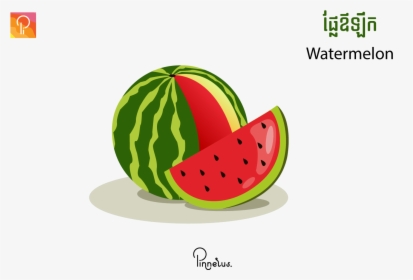 Watermelon Vector Illustration Source - Watermelon, HD Png Download, Free Download