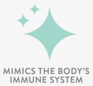 Mimics The Body"s Immune System - Graphic Design, HD Png Download, Free Download