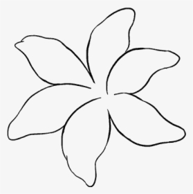 How To Draw Lily - Line Art, HD Png Download, Free Download