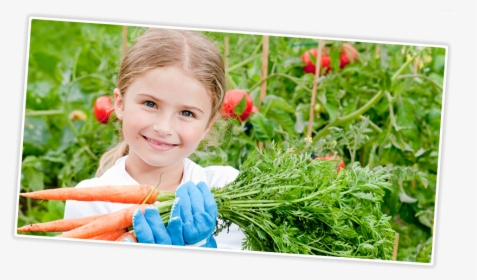 Vegetable, HD Png Download, Free Download