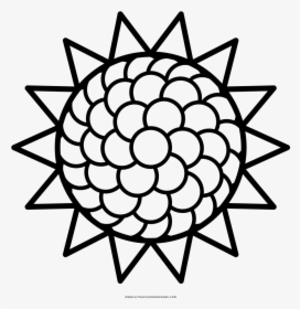 Sunflower Coloring Page - National Science Foundation Logo, HD Png Download, Free Download