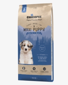 Chicopee Maxi Puppy, HD Png Download, Free Download