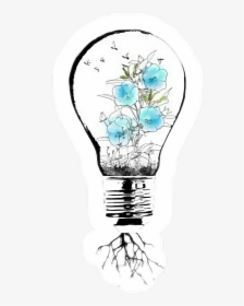 #shawnmendes #shawnmendestattoo #tattoo #lightbulb - Shawn Mendes Tattoo Png, Transparent Png, Free Download