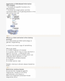 Document, HD Png Download, Free Download