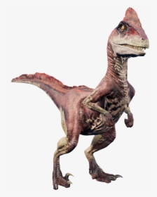   - Jurassic Park Deinonychus, HD Png Download, Free Download