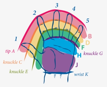 Hand Map - Graphic Design, HD Png Download, Free Download