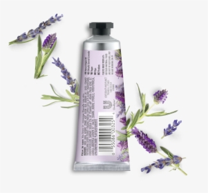 Love Beauty And Planet Lavender Lotion, HD Png Download, Free Download