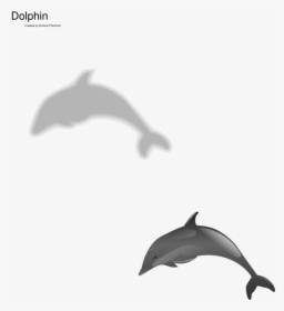Dolphin Clip Art, HD Png Download, Free Download