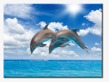 El Océano Azul Animales, HD Png Download, Free Download