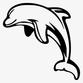Dolphin Leaping White Free Photo - Dolphins Clipart, HD Png Download, Free Download