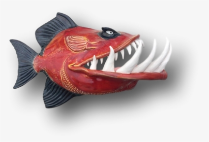 Red Fish With Large Teeth, HD Png Download, Free Download