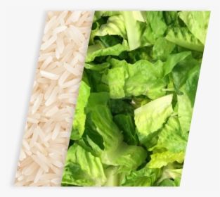 B Rice-romaine - Chopped Romaine Lettuce, HD Png Download, Free Download