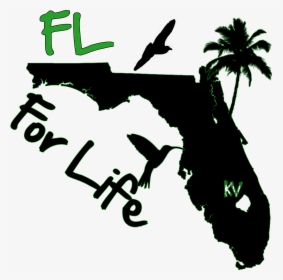 Vlog-vision - Map Of Florida, HD Png Download, Free Download