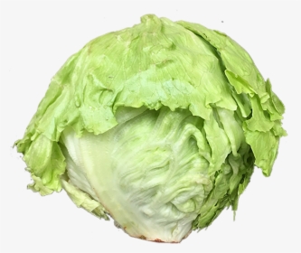 Iceburg Lettuce, HD Png Download, Free Download