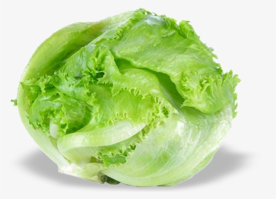 Iceburg Lettuce, HD Png Download, Free Download