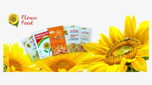 Transparent Sunflower Seeds Png - Flower Food Ltd Part, Png Download, Free Download