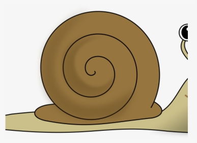 Snail, HD Png Download, Free Download