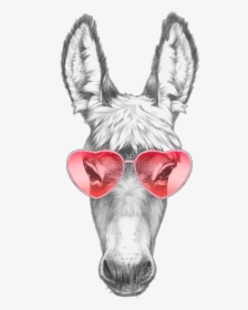 #donkey #donkeys #animal #donky #horse #osioł #sunglasses - Donkey Drawing Portrait, HD Png Download, Free Download