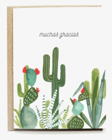 Cactus Poly Mailers, HD Png Download, Free Download
