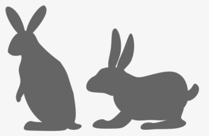 Rabbit Image Vector Example Image - Domestic Rabbit, HD Png Download, Free Download