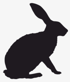 Hare Rabbit Vector Graphics Image Silhouette - Black Tailed Jackrabbit Silhouette, HD Png Download, Free Download