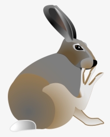 Rabbit Free Vector - Clip Art Jack Rabbit, HD Png Download, Free Download