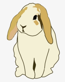 Transparent Rabbit Cartoon Png - Bunny Holland Lop Cartoon, Png Download, Free Download