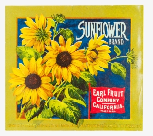 Fruit Label - "sunflower Brand - Sunflower, HD Png Download, Free Download