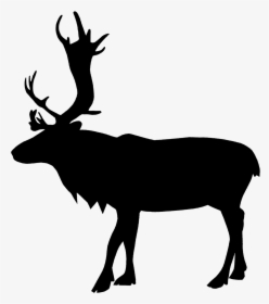 Reindeer Silhouette - Reindeer, HD Png Download, Free Download