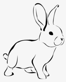 Line Art,wildlife,snout - Bunny Clipart Black And White, HD Png Download, Free Download