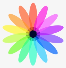 Infrequent Group Ivs Logo - Jarron Con Flores Vinilo, HD Png Download, Free Download