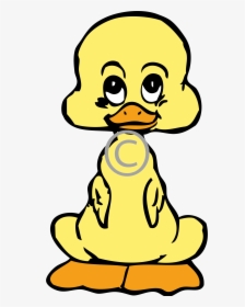 Cartoon Duck Face, HD Png Download, Free Download