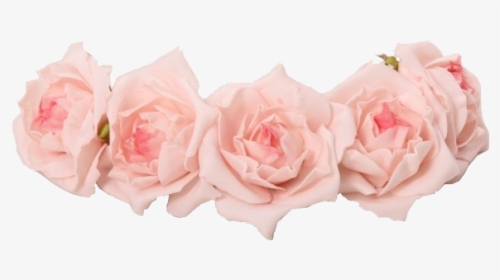 Coroa For Free - Pink Flower Crown Png, Transparent Png, Free Download