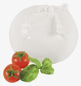 Mozzarella Di Bufala Png - Water Buffalo Buffalo Mozzarella Buffalo, Transparent Png, Free Download