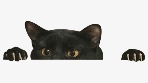 Transparent Anime Cat Ears Png, Png Download, Free Download