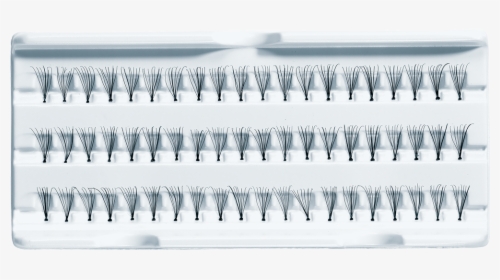 60 Professional Individual False Eyelashes, HD Png Download, Free Download