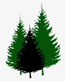 Pine Tree Fir Clip Art - Pine Tree Silhouette Png, Transparent Png, Free Download
