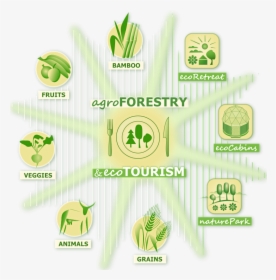 Bffnuevo - Biodiversity Conservation And Agroforestry, HD Png Download, Free Download