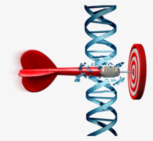 An Arrow Cutting Through Dna And Hitting Target - Target Treatment, HD Png Download, Free Download