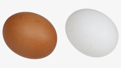 Eggs, White, Brown, Food, Breakfast, Chicken, Bird - Brunt Og Hvidt Æg, HD Png Download, Free Download