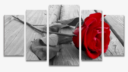 Tela Canvas Para Sala 5 Peças Rosa Vermelha Em Preto - New Year Wishes Roses, HD Png Download, Free Download